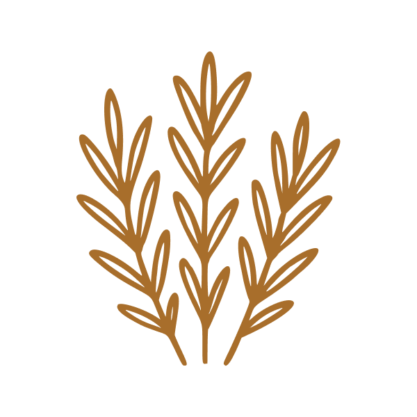 Rosemary Oil