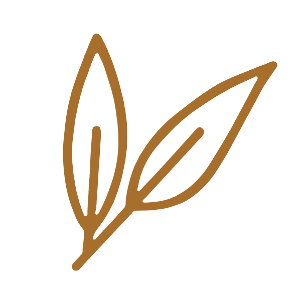 Cajeput Oil