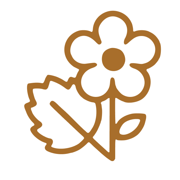 Geranium Oil