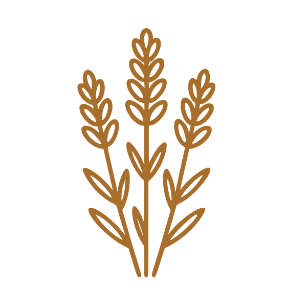 Lavender Oil